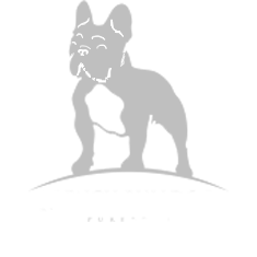 Stormi French Bulldogs